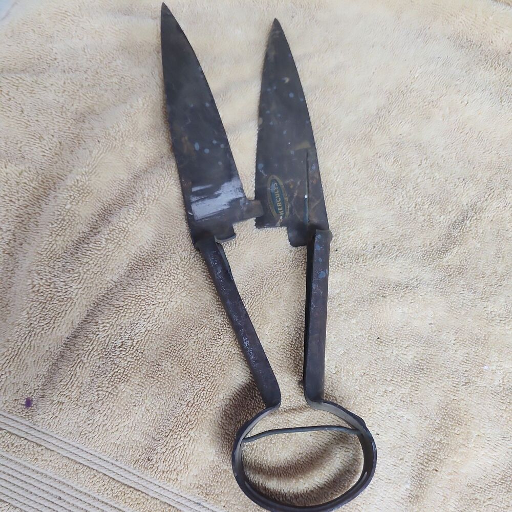 Antique Vintage primitive Tool Sheep Shears Hercules